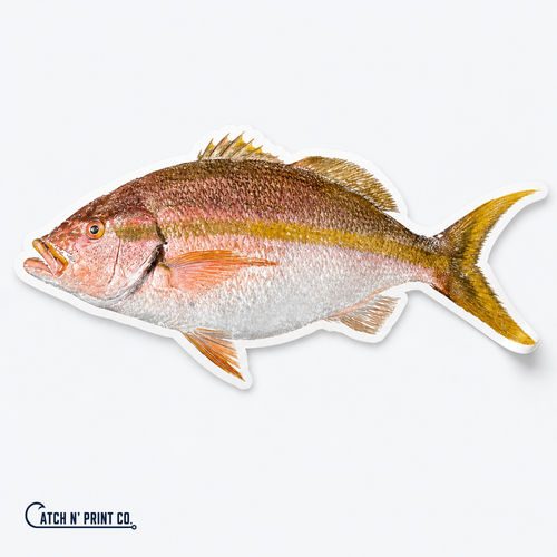 Die-cut custom fish print vinyl sticker