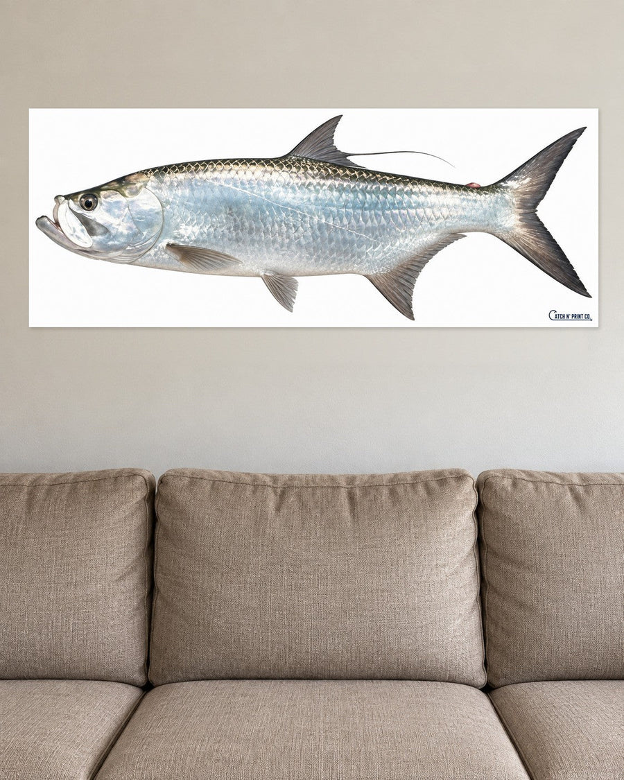 Fine art paper print at the fish's true length, above a sofa for scale