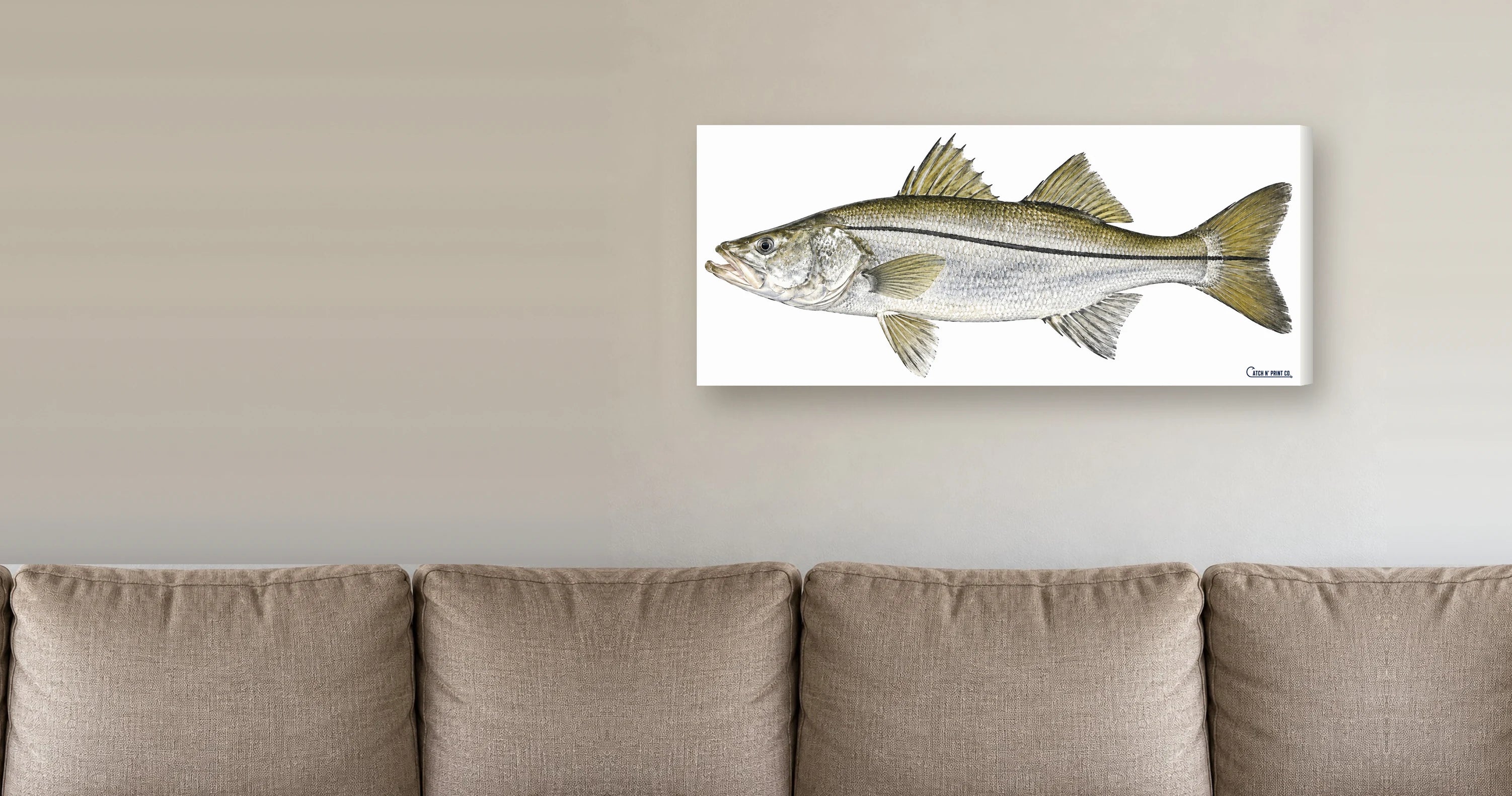A snook printed true to size on canvas, hanging above a sofa
